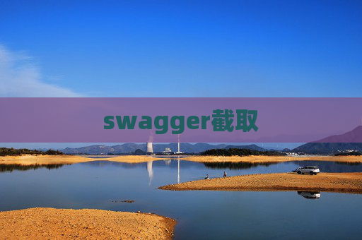 swagger截取